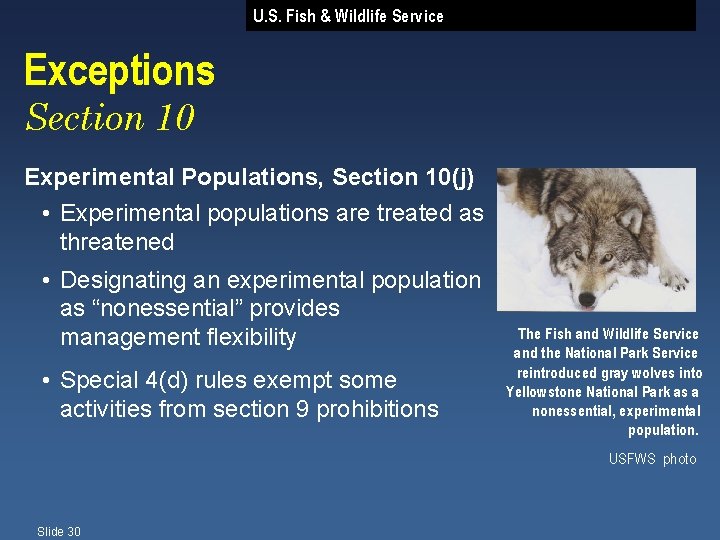 U. S. Fish & Wildlife Service Exceptions Section 10 Experimental Populations, Section 10(j) •