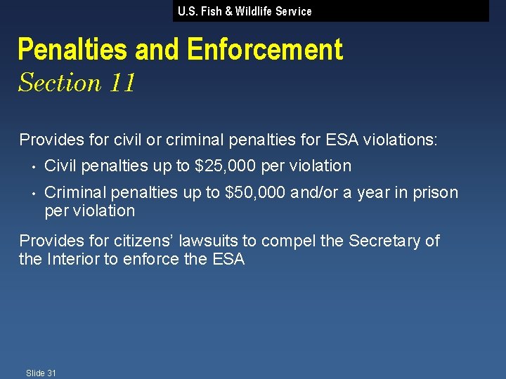 U. S. Fish & Wildlife Service Penalties and Enforcement Section 11 Provides for civil
