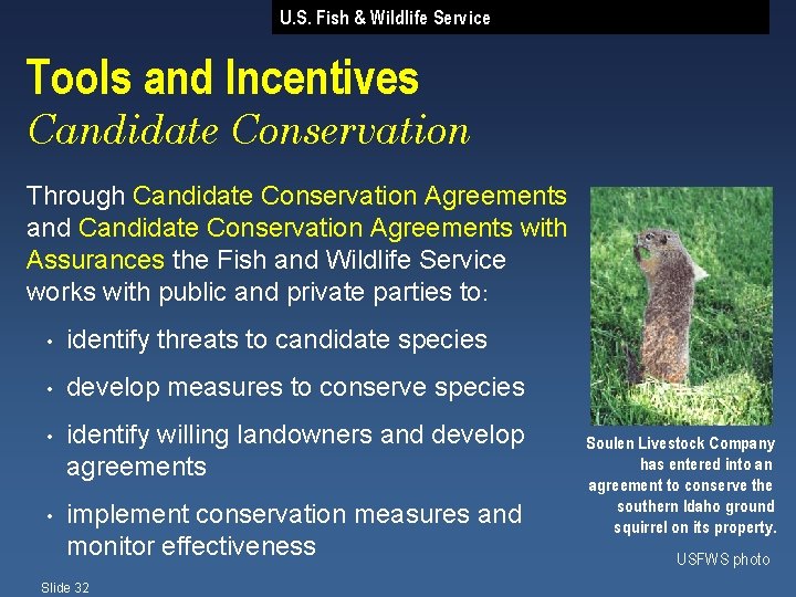 U. S. Fish & Wildlife Service Tools and Incentives Candidate Conservation Through Candidate Conservation