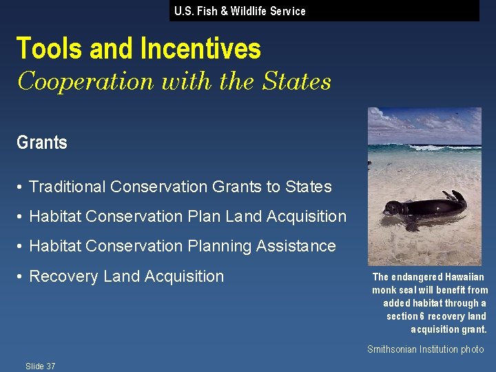 U. S. Fish & Wildlife Service Tools and Incentives Cooperation with the States Grants