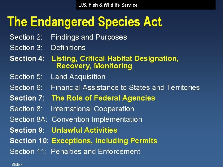 U. S. Fish & Wildlife Service The Endangered Species Act Section 2: Findings and