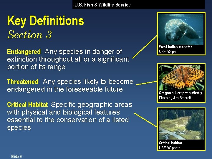 U. S. Fish & Wildlife Service Key Definitions Section 3 Endangered Any species in