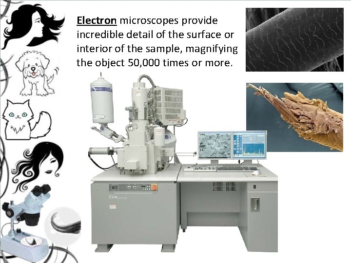 Electron microscopes provide incredible detail of the surface or interior of the sample, magnifying