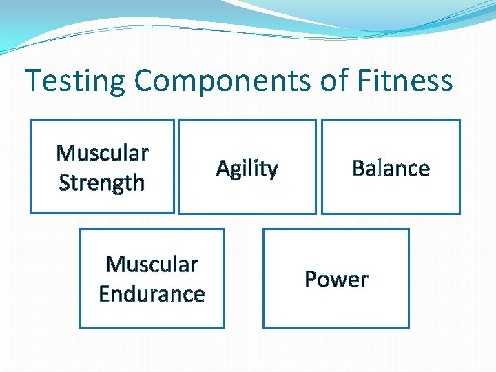 Testing Components of Fitness Muscular Hand Grip Test Strength Illinois Agility Test Agility Muscular
