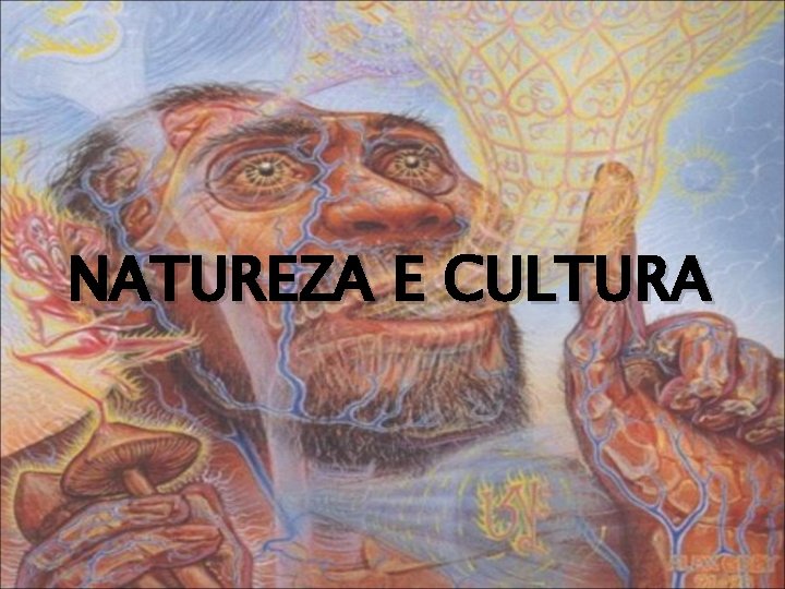 NATUREZA E CULTURA 