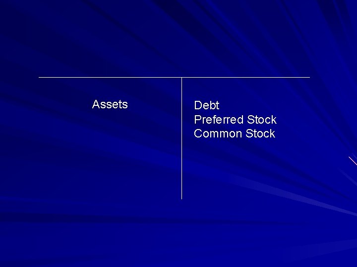 Assets Debt Preferred Stock Common Stock 