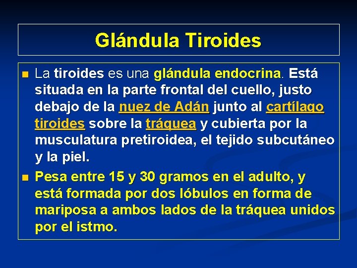 Glándula Tiroides n n La tiroides es una glándula endocrina. Está situada en la