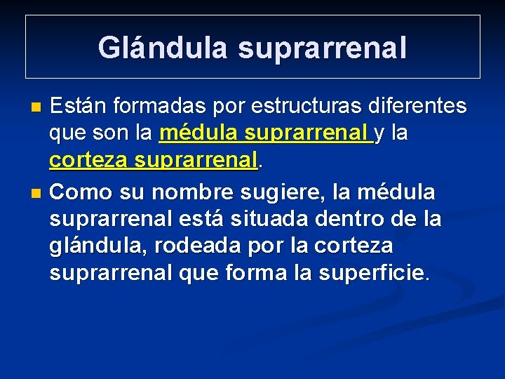 Glándula suprarrenal Están formadas por estructuras diferentes que son la médula suprarrenal y la