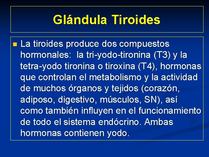 Glándula Tiroides n La tiroides produce dos compuestos hormonales: la tri-yodo-tironina (T 3) y