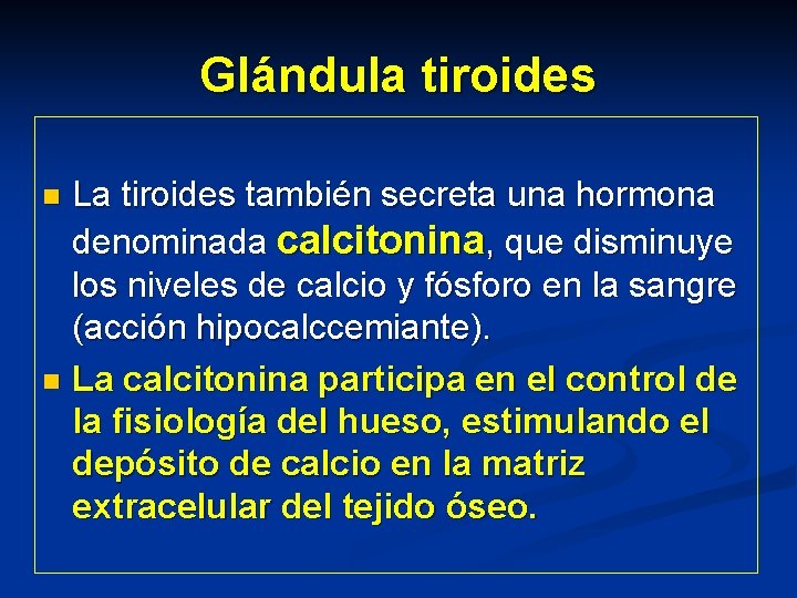 Glándula tiroides La tiroides también secreta una hormona denominada calcitonina, que disminuye los niveles