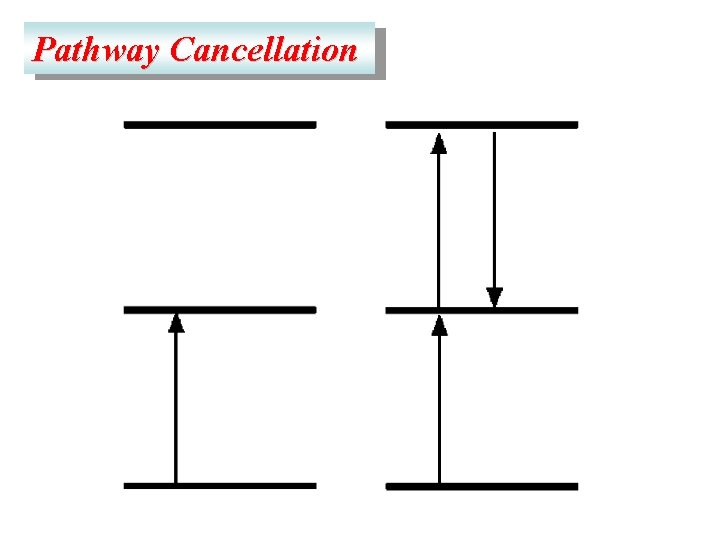 Pathway Cancellation 