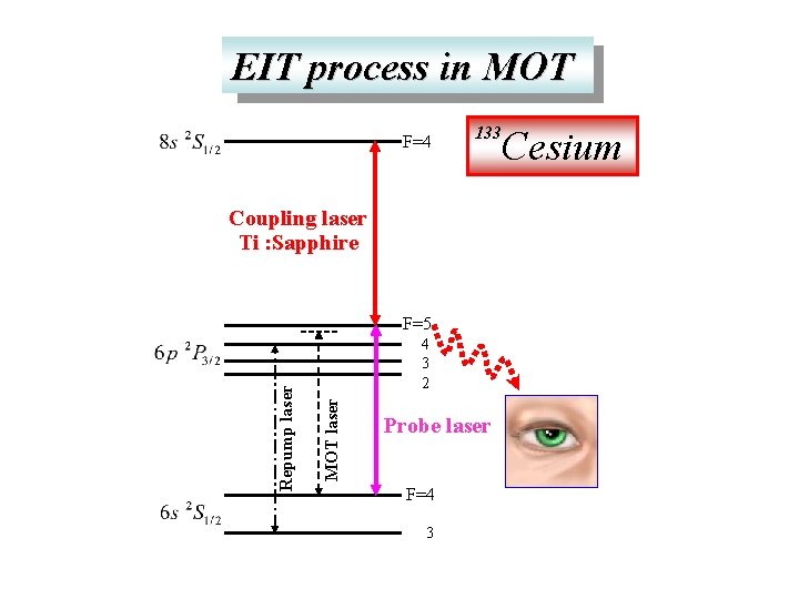 EIT process in MOT F=4 133 Coupling laser Ti : Sapphire 4 3 2
