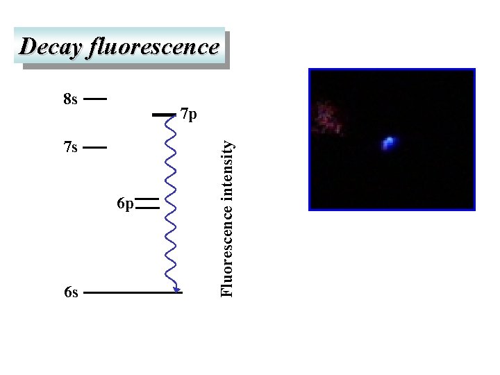 Decay fluorescence 8 s 7 s 6 p 6 s Fluorescence intensity 7 p