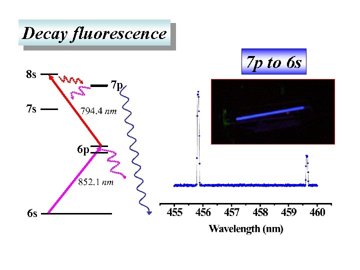 Decay fluorescence 7 p to 6 s 8 s 7 p 7 s 6