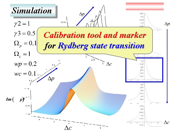 Simulation Calibration tool and marker for Rydberg state transition 