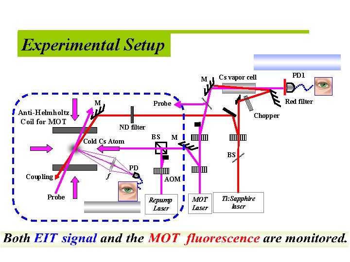 Experimental Setup M M Cs vapor cell Red filter Probe Anti-Helmholtz Coil for MOT