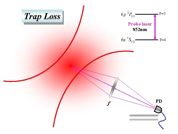 Trap Loss F=5 Probe laser 852 nm F=4 f PD 