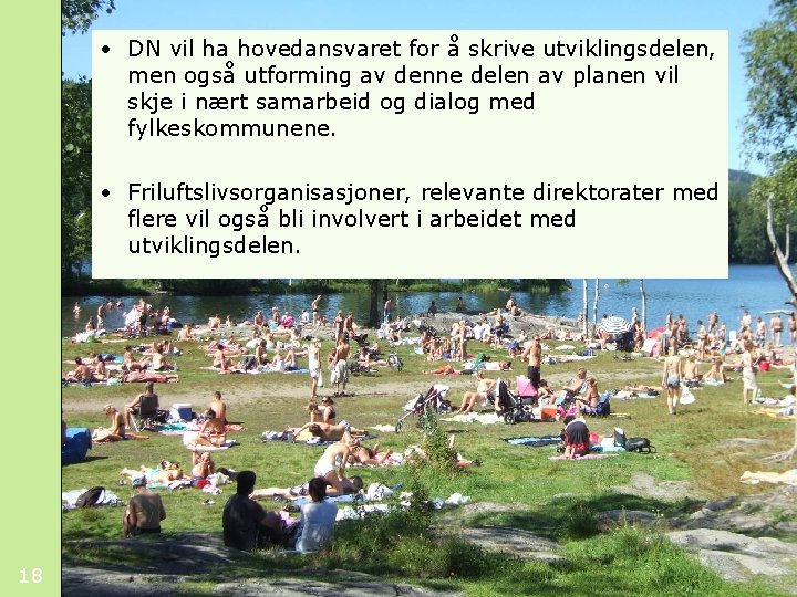  • DN vil ha hovedansvaret for å skrive utviklingsdelen, men også utforming av
