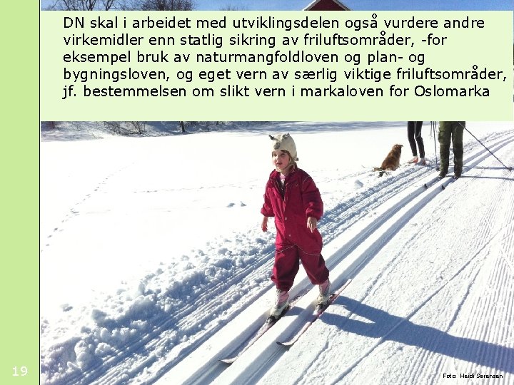 DN skal i arbeidet med utviklingsdelen også vurdere andre virkemidler enn statlig sikring av