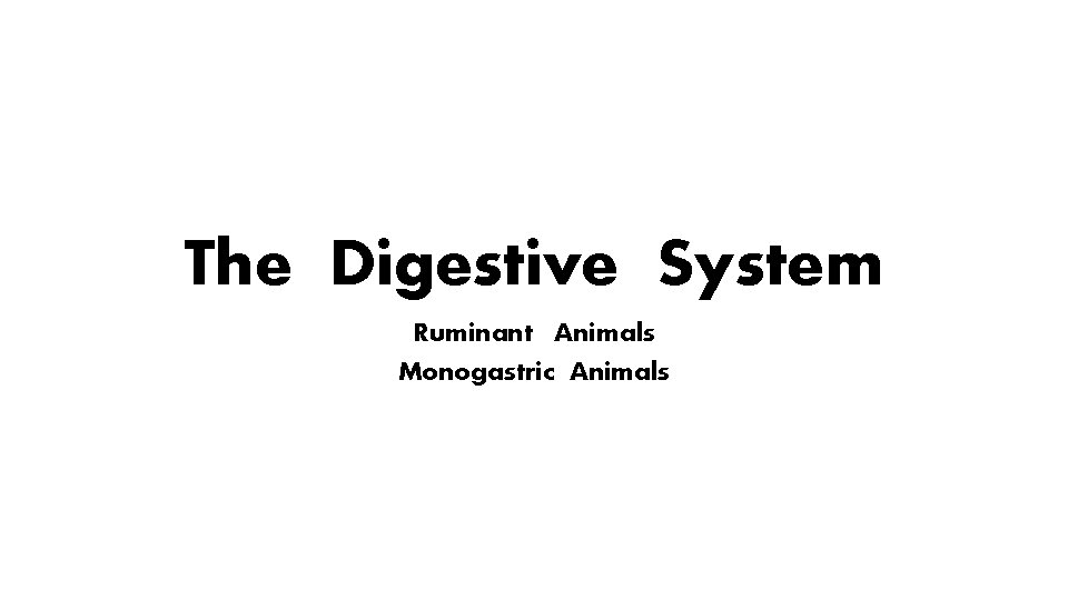The Digestive System Ruminant Animals Monogastric Animals The