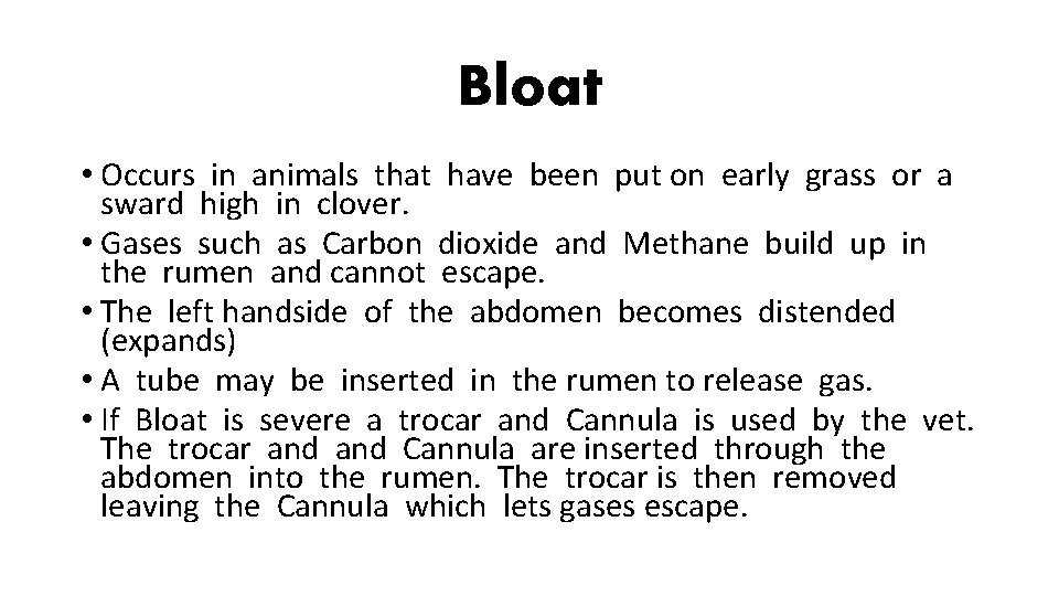 Bloat • Occurs in animals that have been put on early grass or a