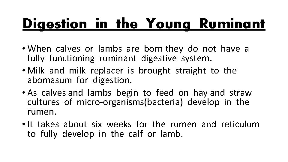 Digestion in the Young Ruminant • When calves or lambs are born they do