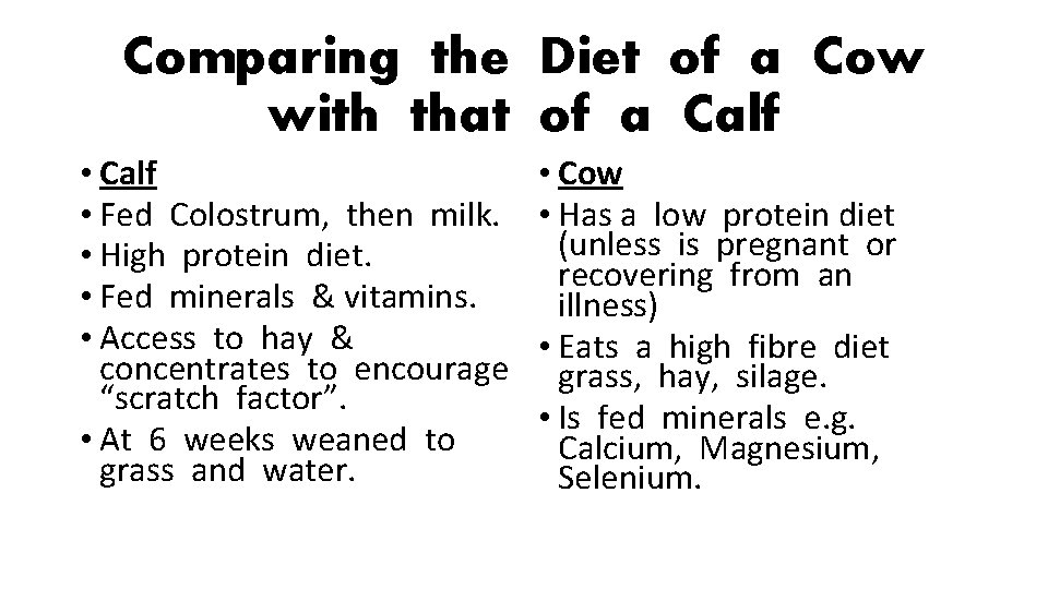 Comparing the Diet of a Cow with that of a Calf • Fed Colostrum,