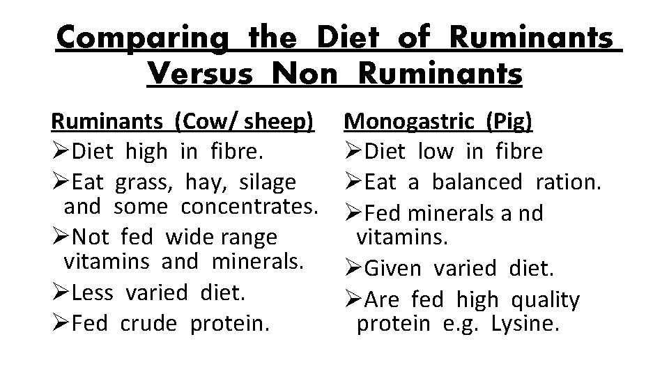 Comparing the Diet of Ruminants Versus Non Ruminants (Cow/ sheep) ØDiet high in fibre.