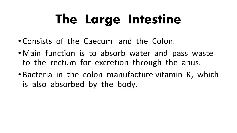 The Large Intestine • Consists of the Caecum and the Colon. • Main function