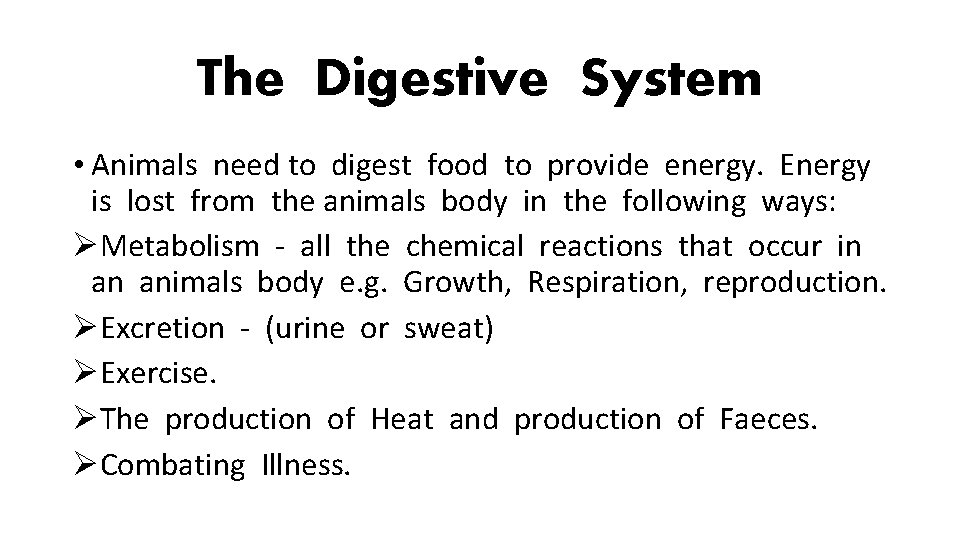 The Digestive System • Animals need to digest food to provide energy. Energy is