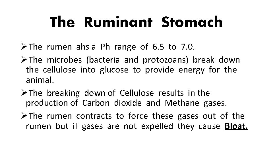 The Ruminant Stomach ØThe rumen ahs a Ph range of 6. 5 to 7.