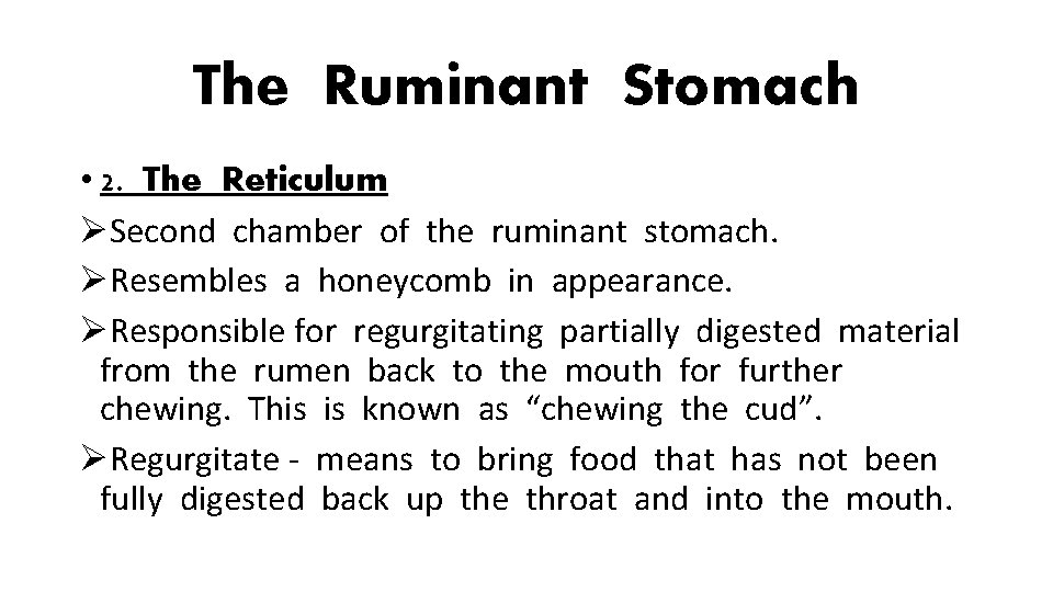 The Ruminant Stomach • 2. The Reticulum ØSecond chamber of the ruminant stomach. ØResembles