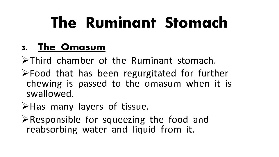 The Ruminant Stomach 3. The Omasum ØThird chamber of the Ruminant stomach. ØFood that