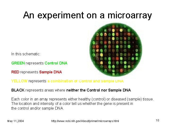  An experiment on a microarray In this schematic: GREEN represents Control DNA RED