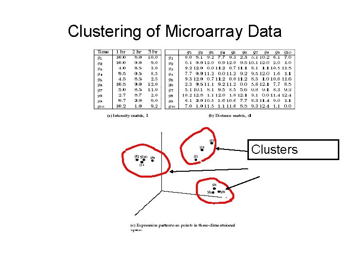 Clustering of Microarray Data Clusters 