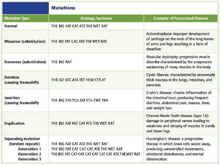 Molecular Genetics 