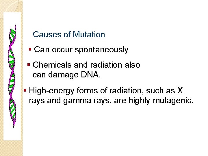 Molecular Genetics Causes of Mutation § Can occur spontaneously § Chemicals and radiation also