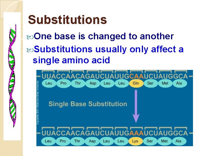 Substitutions One base is changed to another Substitutions usually only affect a single amino