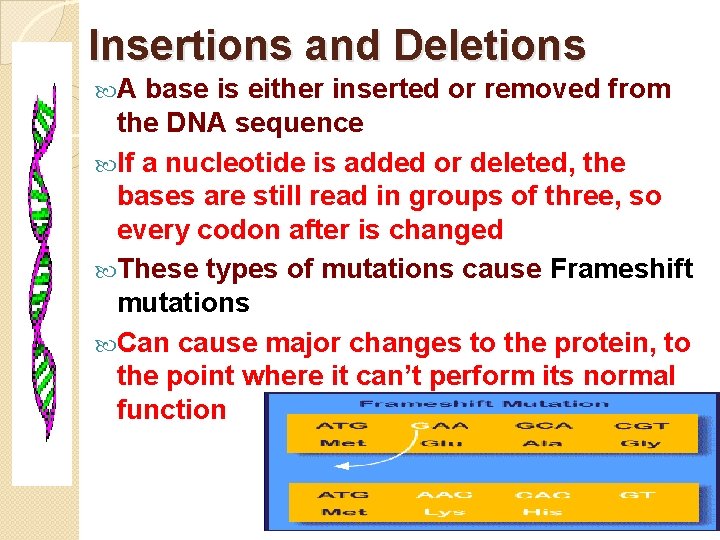 Insertions and Deletions A base is either inserted or removed from the DNA sequence