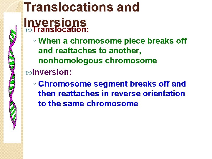 Translocations and Inversions Translocation: ◦ When a chromosome piece breaks off and reattaches to