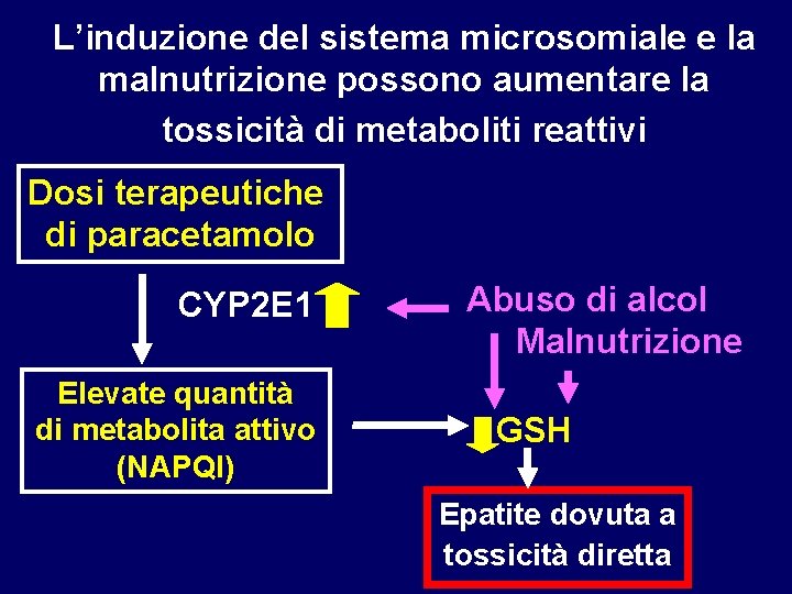 L’induzione del sistema microsomiale e la malnutrizione possono aumentare la tossicità di metaboliti reattivi