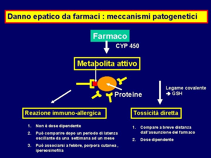 Danno epatico da farmaci : meccanismi patogenetici Farmaco CYP 450 Metabolita attivo Proteine Reazione