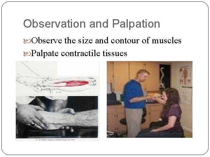 Observation and Palpation Observe the size and contour of muscles Palpate contractile tissues 