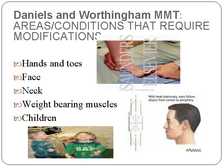 Daniels and Worthingham MMT: AREAS/CONDITIONS THAT REQUIRE MODIFICATIONS Hands and toes Face Neck Weight