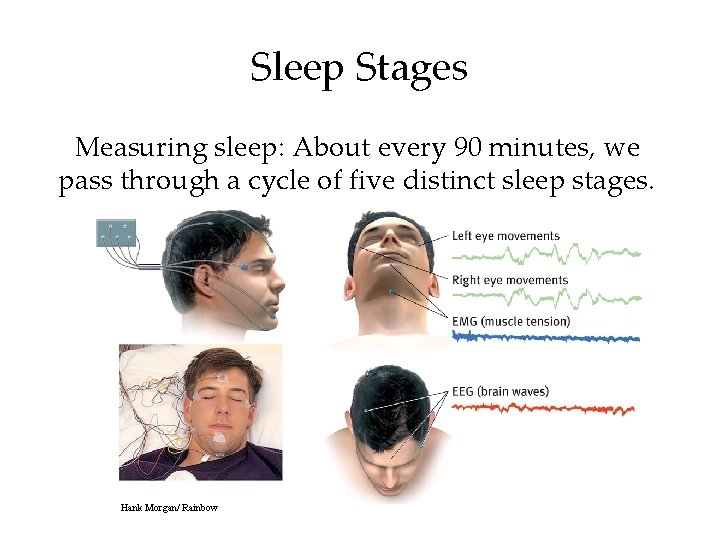 Sleep Stages Measuring sleep: About every 90 minutes, we pass through a cycle of