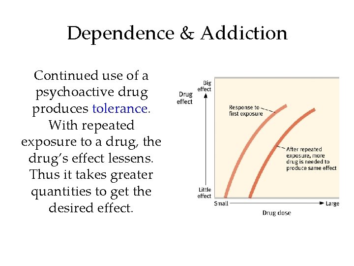 Dependence & Addiction Continued use of a psychoactive drug produces tolerance. With repeated exposure