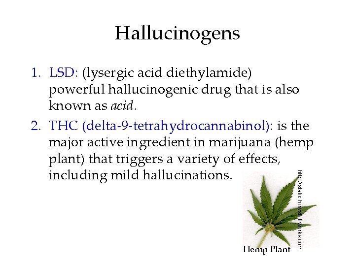 Hallucinogens Hemp Plant http: //static. howstuffworks. com 1. LSD: (lysergic acid diethylamide) powerful hallucinogenic