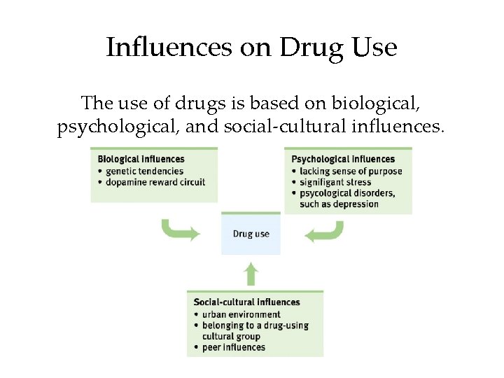 Influences on Drug Use The use of drugs is based on biological, psychological, and