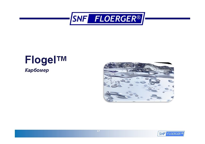 Flogel. TM Карбомер 17 SNF FLOERGER ® 