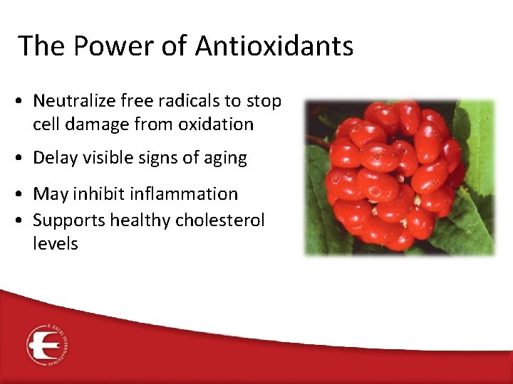 The Power of Antioxidants • Neutralize free radicals to stop cell damage from oxidation